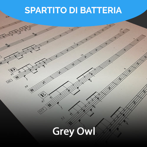 Grey Owl - Notte