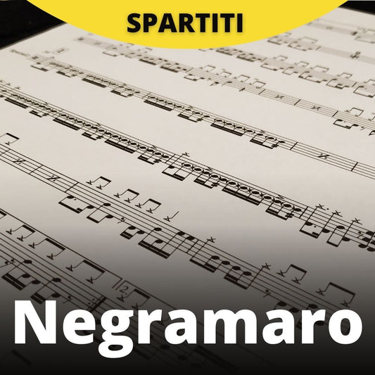 Negramaro - Parlami d'amore (drum sheet music)